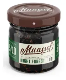 Night Forest