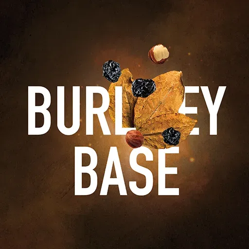 Burley Base