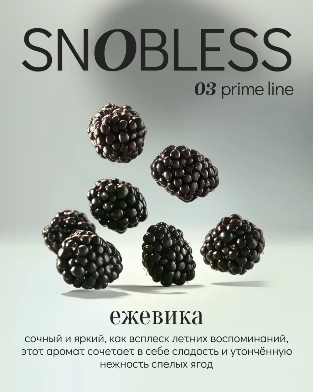 Ежевика
