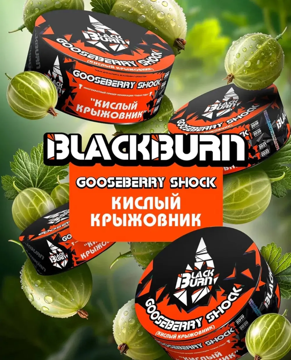 Gooseberry shock