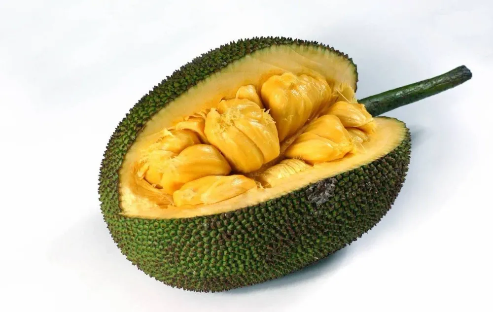 Jackfruit