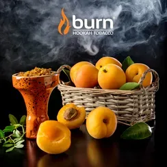 Juicy Apricot