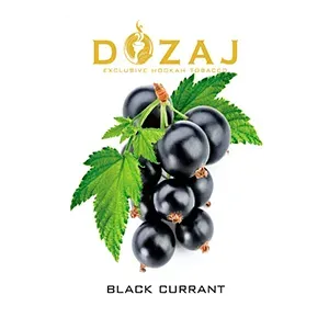 Black currant