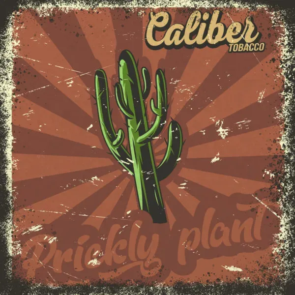 Prickly plant