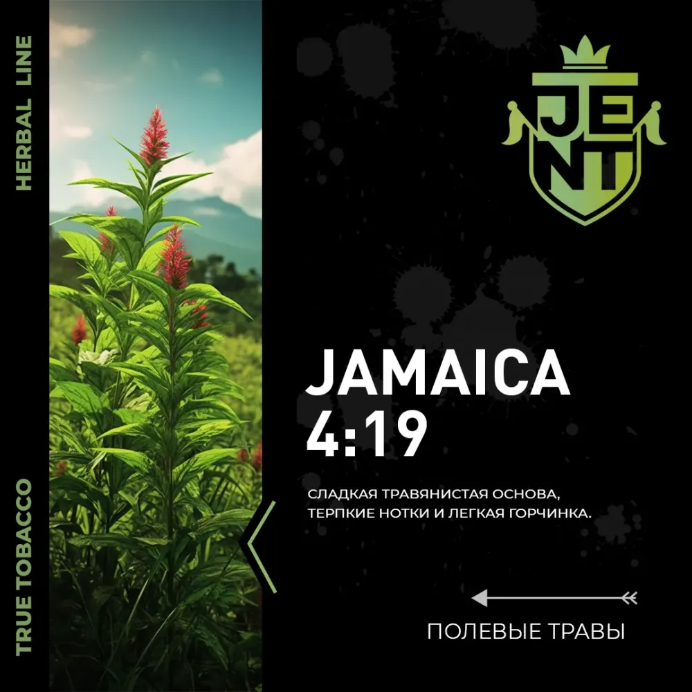 Jamaica 4:19