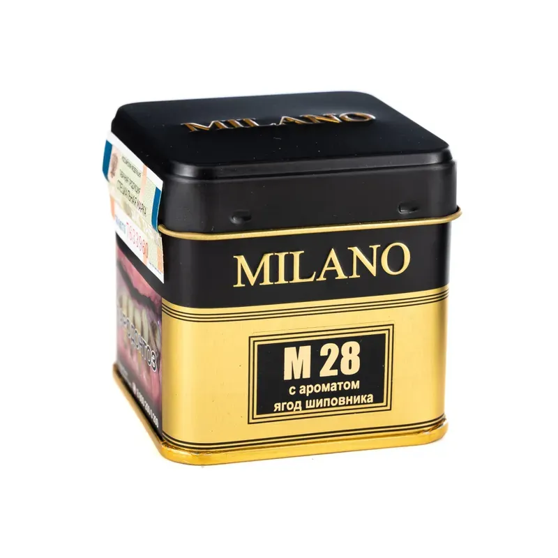 M 28