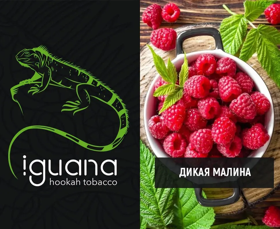Дикая малина
