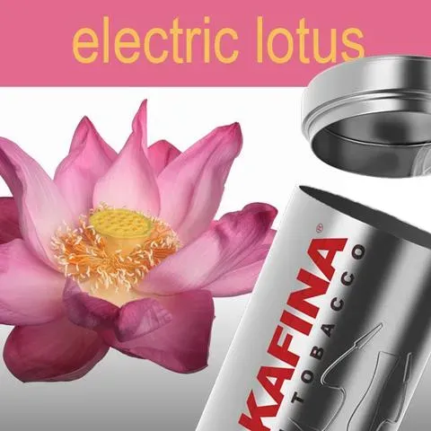 Electric Lotus