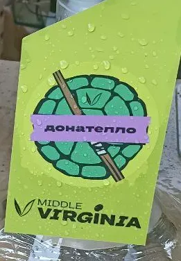 Донателло