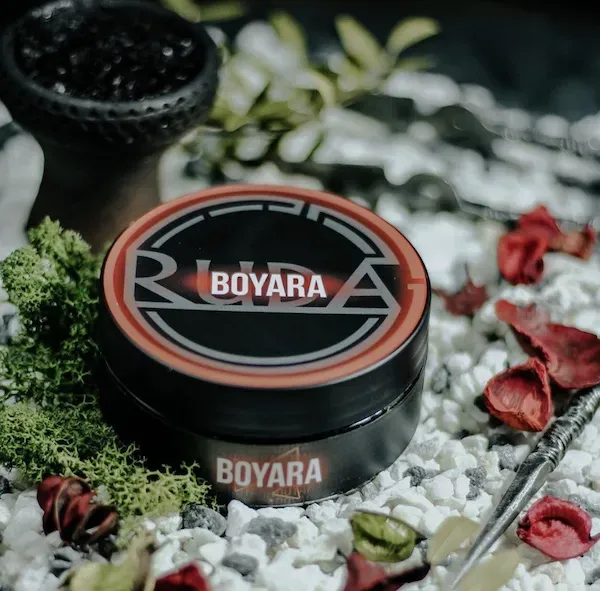 Boyara