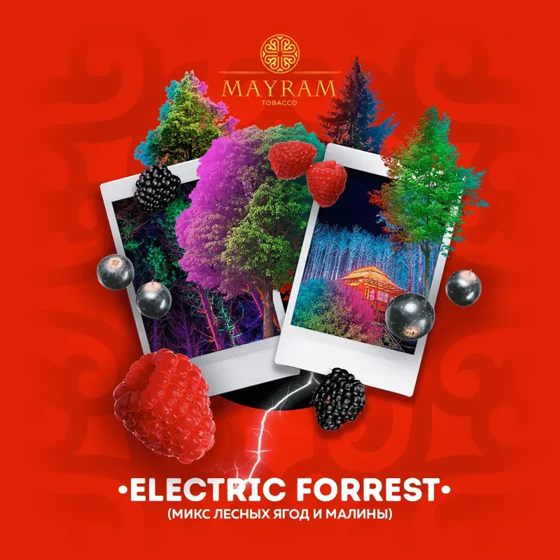 Electric Forrest