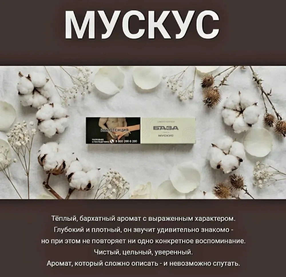 Мускус