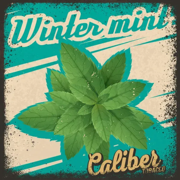 Winter mint