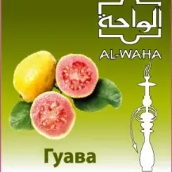 Guava