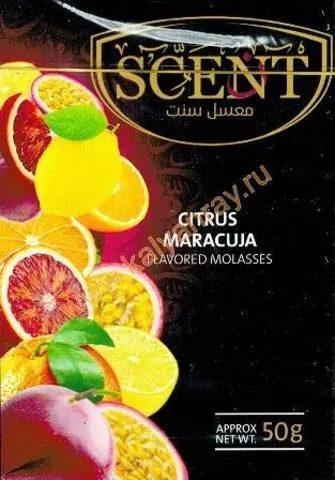 Citrus Maracuja