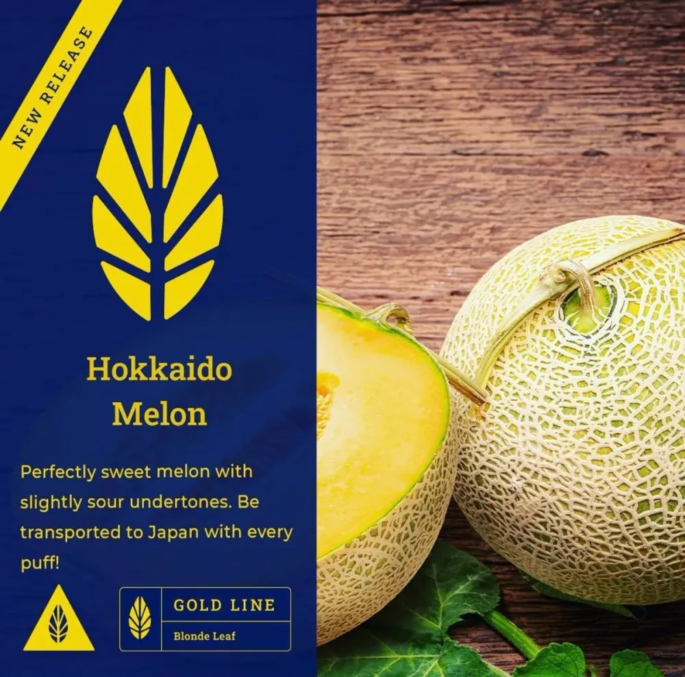 Hokkaido melon