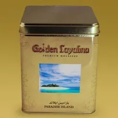 Paradise Island
