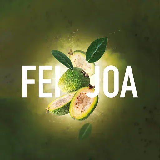 Feijoa