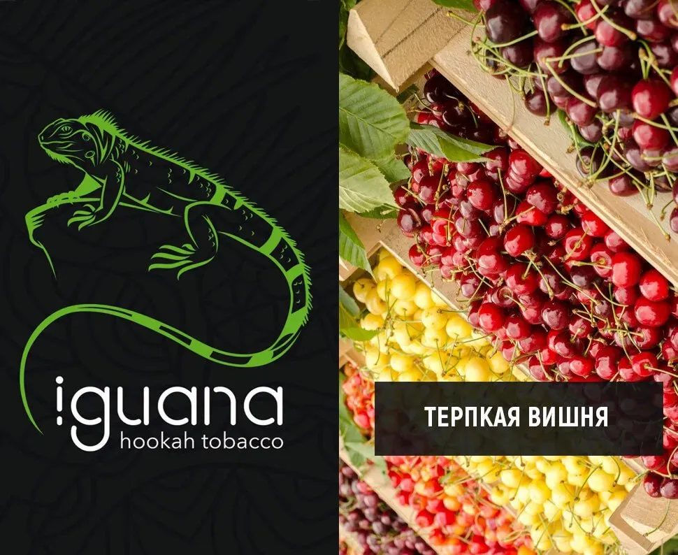 Терпкая вишня