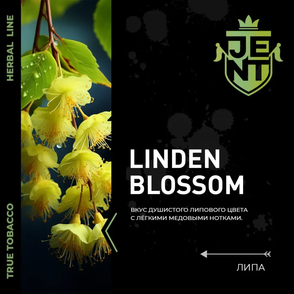 Linden Blossom