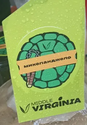 Микеланджело