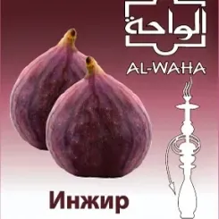 Fig
