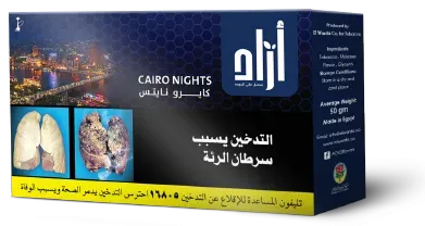 Cairo nights
