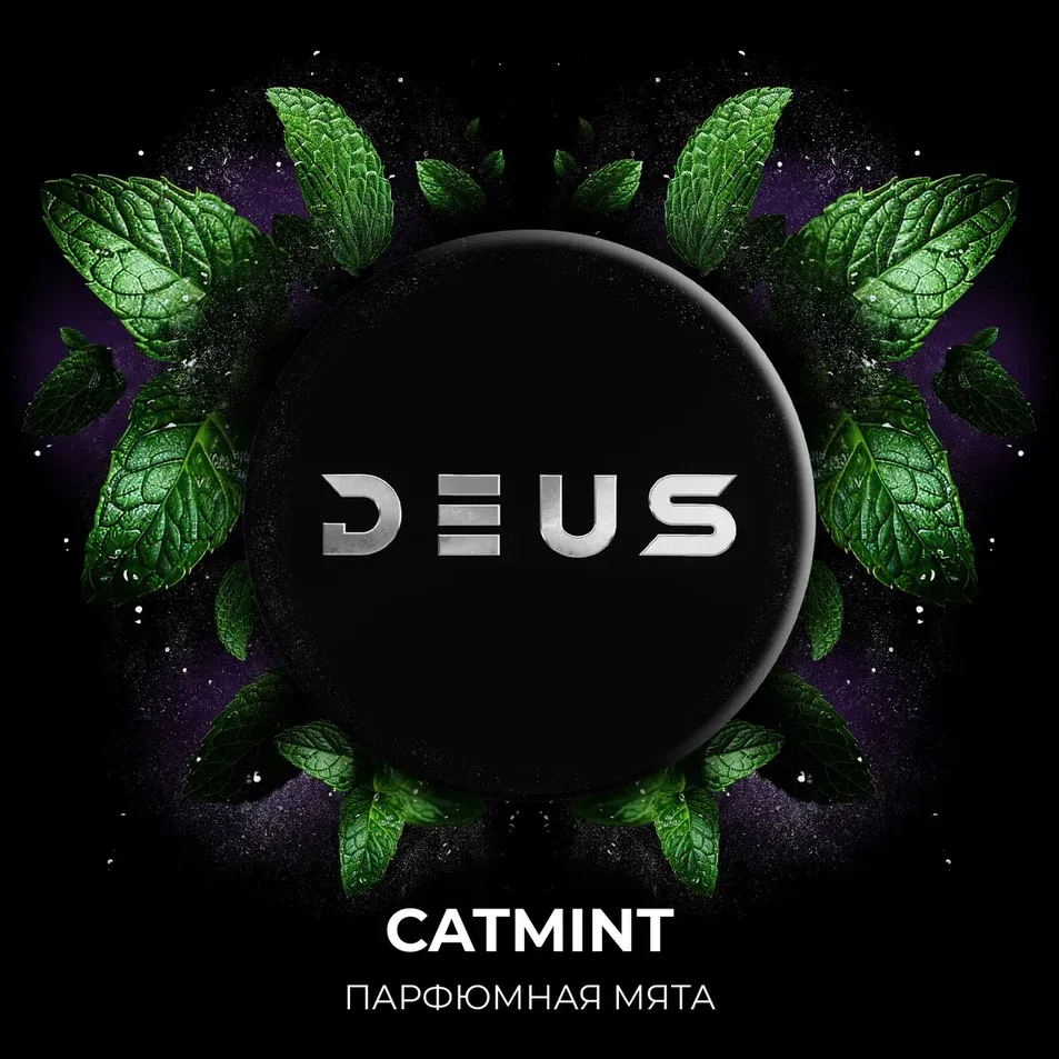 Catmint