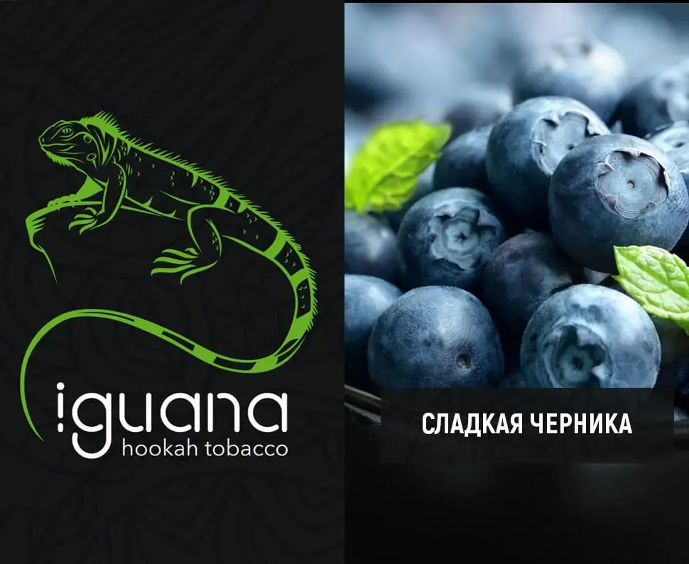 Сладкая черника