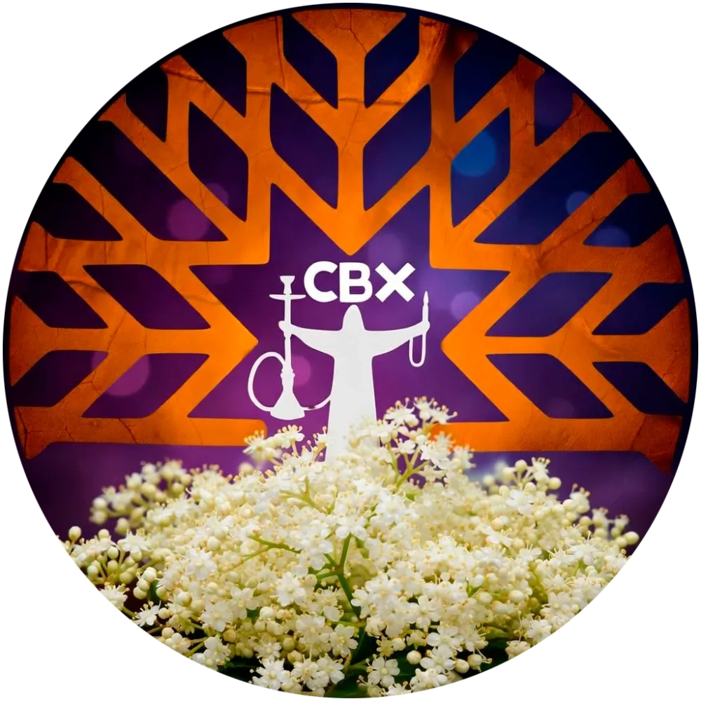 Elder Flower