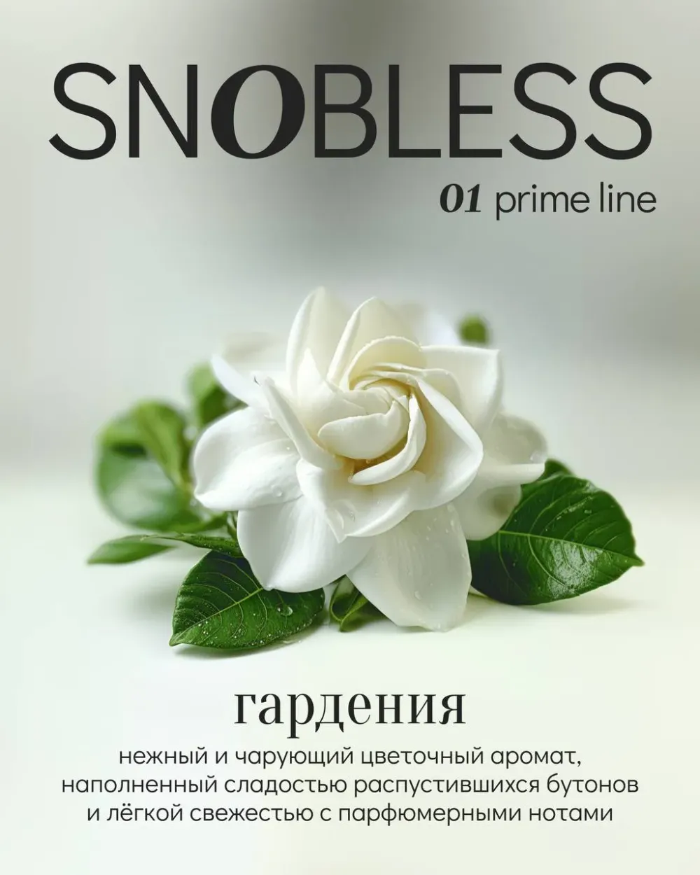 Гардения