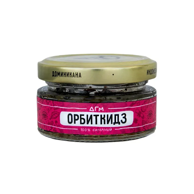 Орбиткидз