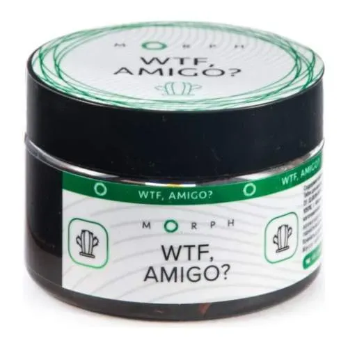 WTF, Amigo?