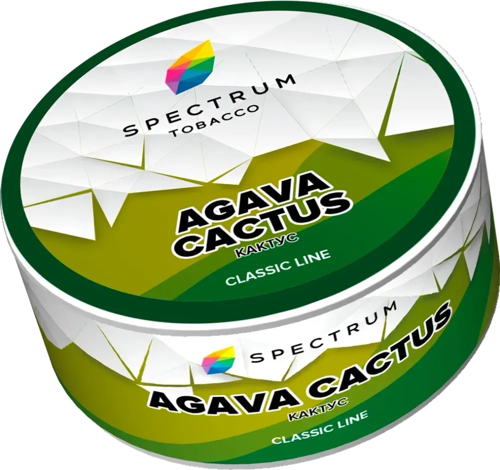 Agava Cactus