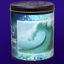Ocean Mist