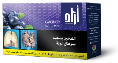 Blueberry