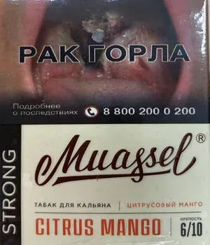 Citrus Mango