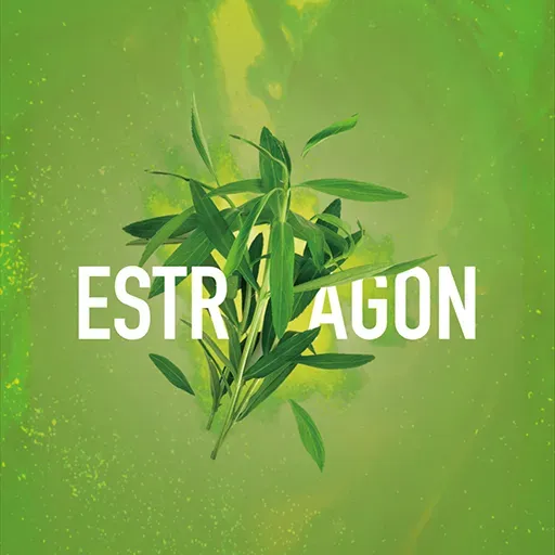 Estragon