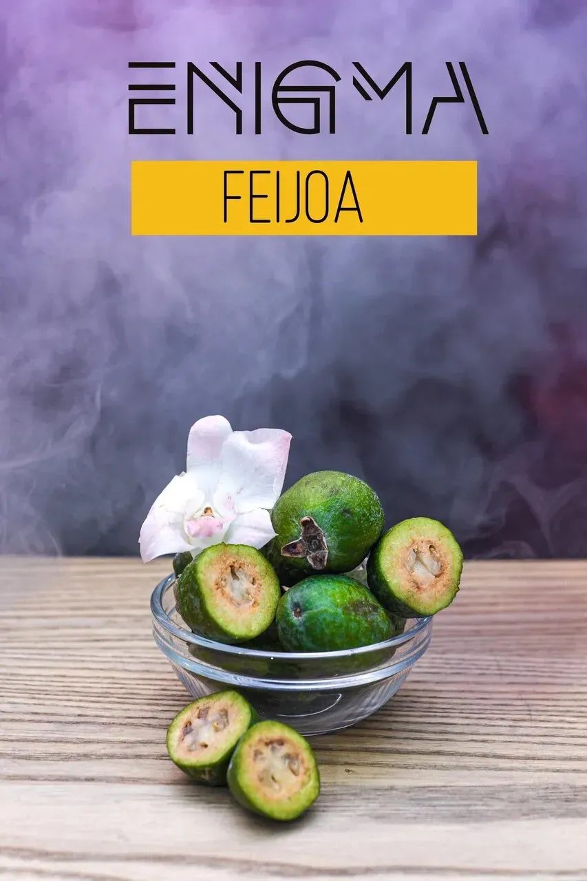 Feijoa