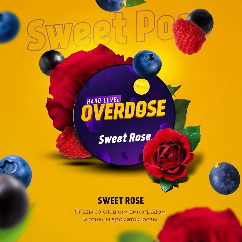 Sweet Rose