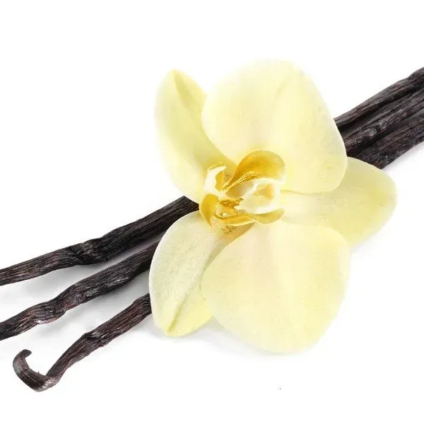 Vanilla
