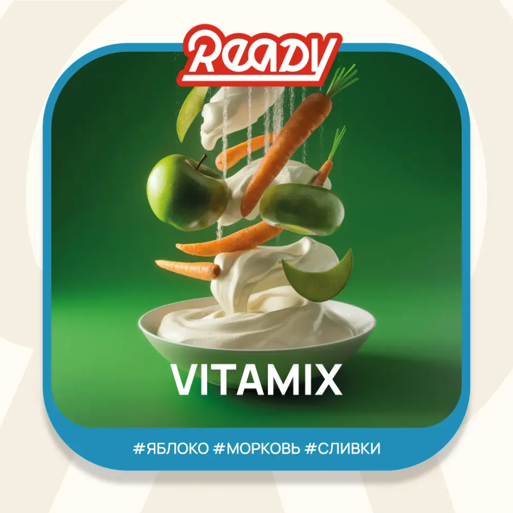 Vitamix (№14)
