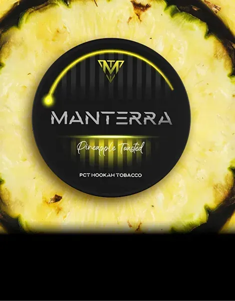 Pineapple Toasted