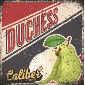 Duchess
