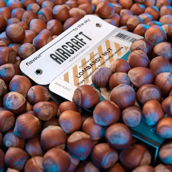 Lombardy Nut