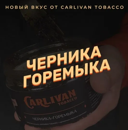 Черника-горемыка
