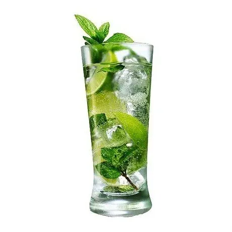 Ice Mojito