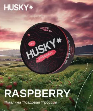 Raspberry