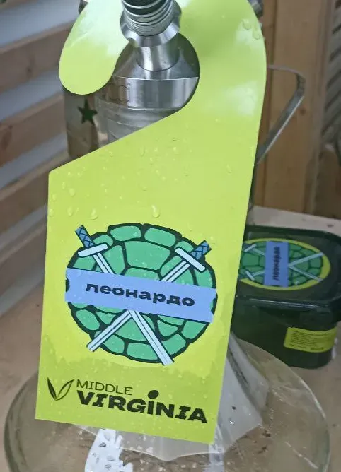 Леонардо