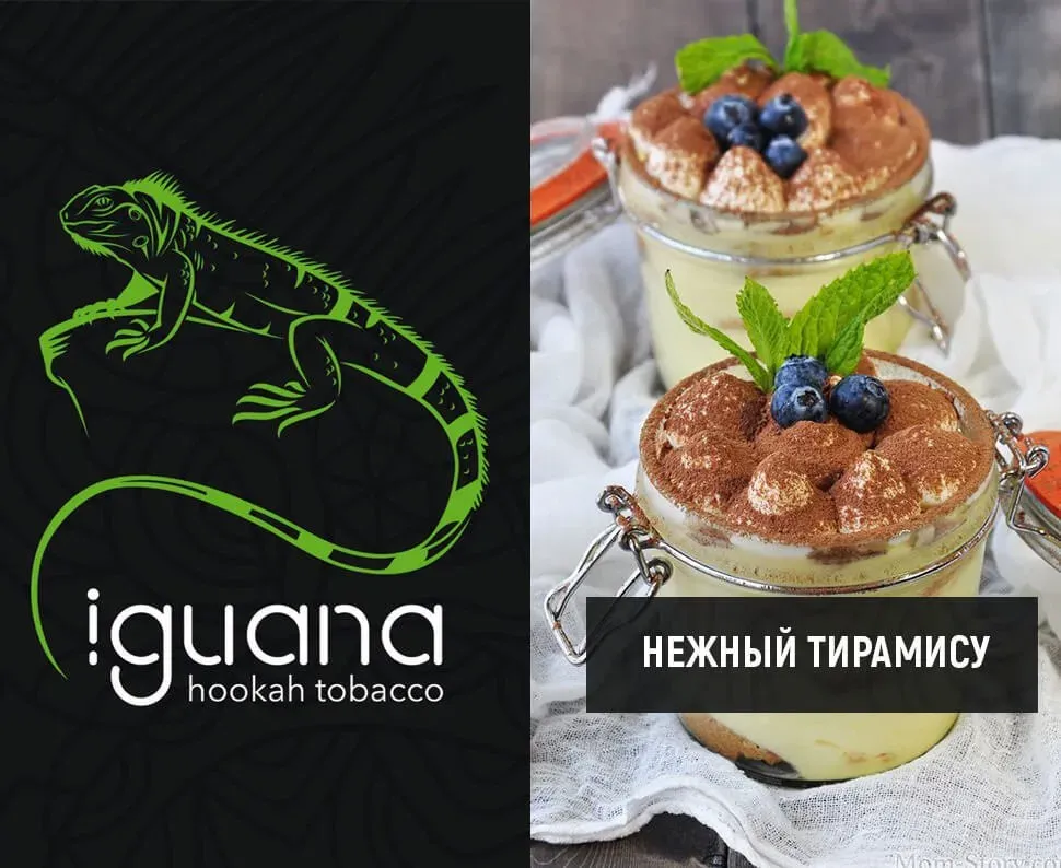 Нежный тирамису